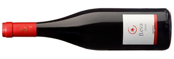 Fleva Syrah Σκούρα στον Παράδεισο της Τσαγκαράδας